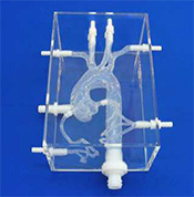 Model: T–S–N–004 